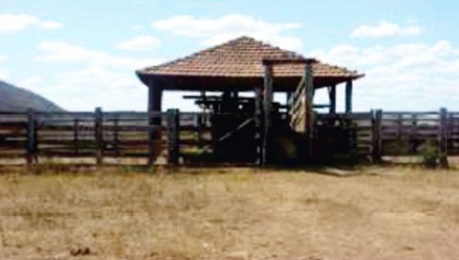 Foto - Imóvel Rural 343 ha - Fazenda São José (Margem do Rio São Mateus) - Guarani de Goiás - GO - [4]