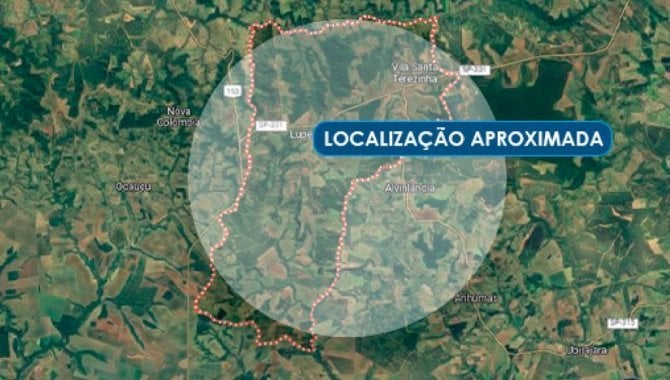 Foto - Parte Ideal (1/8) de Área com 43 alq. (Fazenda Santo Inácio) - Pendenga - Lupércio - SP - [1]