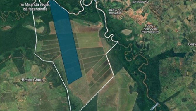 Foto - Áreas de Terras totalizando 2.628 ha na Fazenda Pouso Alegre - Miranda - MS - [3]