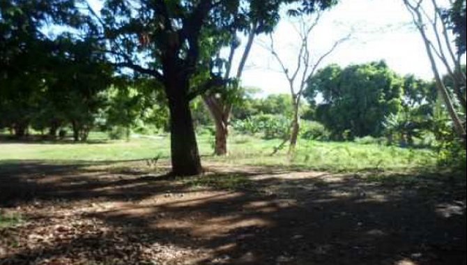 Foto - Área Rural 62.272 m² - Sítio Monjolo - Sertãozinho - SP - [8]