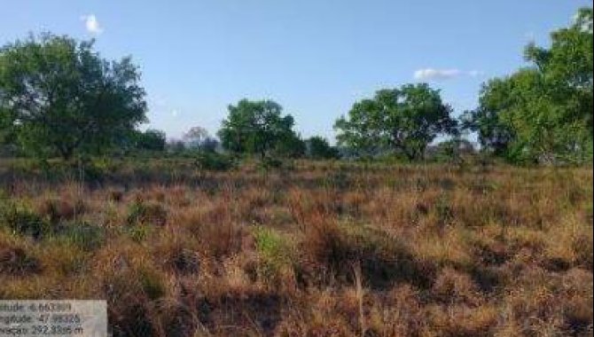 Foto - Fazenda - Darcinópolis-TO - Fazenda Lago Azul - Lote 141 da Gleba Maior II 2ª Etapa - [7]