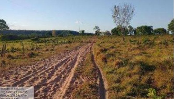 Foto - Fazenda - Darcinópolis-TO - Fazenda Lago Azul - Lote 141 da Gleba Maior II 2ª Etapa - [4]