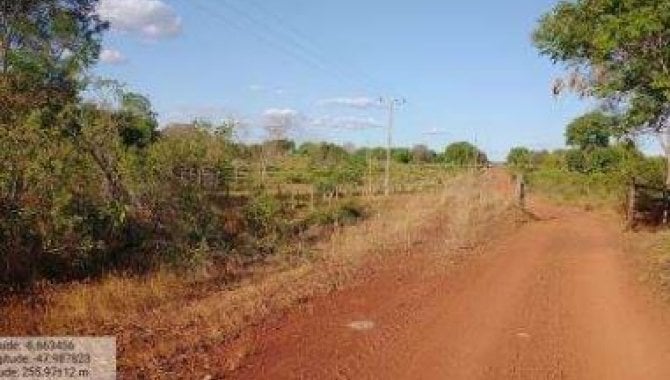 Foto - Fazenda - Darcinópolis-TO - Fazenda Lago Azul - Lote 141 da Gleba Maior II 2ª Etapa - [5]