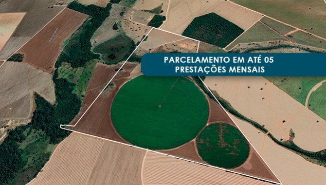 Foto - Imóvel Rural 162 ha - Fazenda Bom Jesus da Varginha - Edéia - GO - [1]