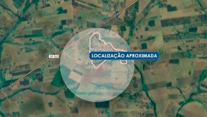 Foto - Parte Ideal (3,4%) de Imóvel Rural 12 ha - Fazenda Palmital - Marinópolis - SP - [1]