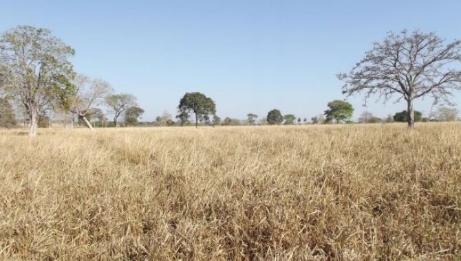 Foto - Imóvel Rural com Área de 19 ha (Sítio 2 Irmãos) - Zona Rural - Araguapaz - GO - [7]