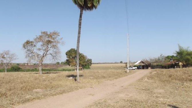 Foto - Imóvel Rural com Área de 19 ha (Sítio 2 Irmãos) - Zona Rural - Araguapaz - GO - [11]