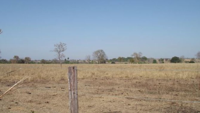 Foto - Imóvel Rural com Área de 19 ha (Sítio 2 Irmãos) - Zona Rural - Araguapaz - GO - [10]