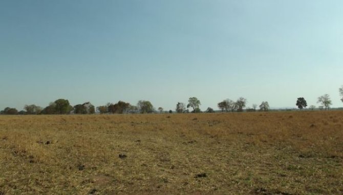 Foto - Imóvel Rural com Área de 19 ha (Sítio 2 Irmãos) - Zona Rural - Araguapaz - GO - [5]