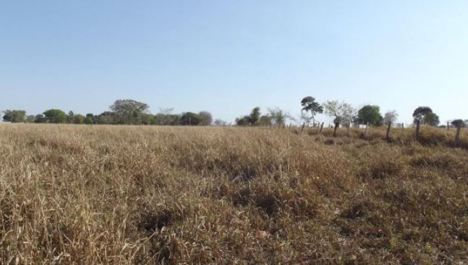 Foto - Imóvel Rural com Área de 19 ha (Sítio 2 Irmãos) - Zona Rural - Araguapaz - GO - [6]