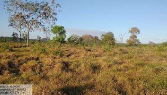 Foto - Área Rural - Darcinópolis-TO - Fazenda Lago Azul - Lote 141 da Gleba Maior II 2ª Etapa - [4]