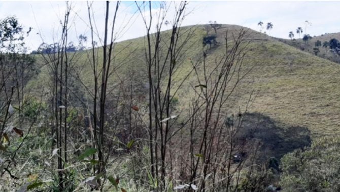 Foto - Sítio Flor do Vale 44.228 m² - Pouso Alegre - Santa Isabel - SP - [1]