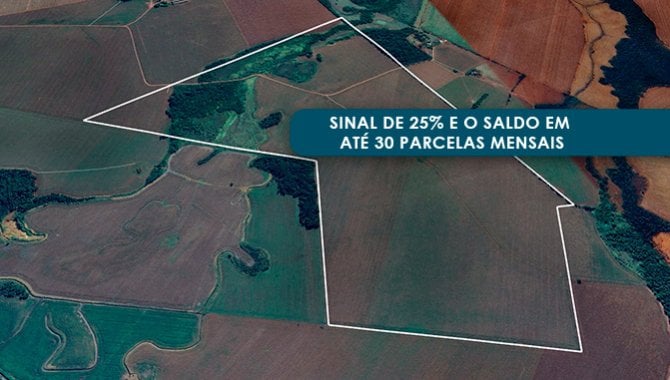 Foto - Imóvel Rural 158 ha - Palmital e Santa Maria - Laguna Carapã - MS - [1]