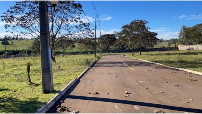 Foto - Lote, Padrão, 0 Vaga(S) de Garagem - [19]