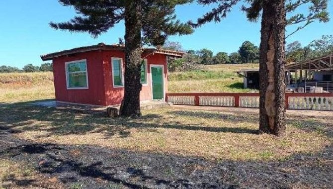 Foto - Imóvel Rural 16 ha - Fazenda Pequena Nossa Senhora de Fátima - São Carlos - SP - [4]