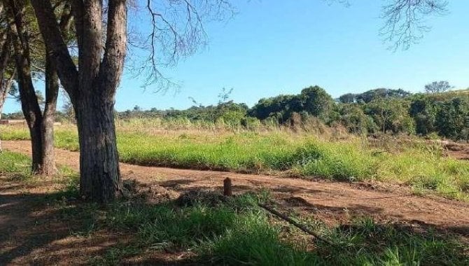 Foto - Imóvel Rural 16 ha - Fazenda Pequena Nossa Senhora de Fátima - São Carlos - SP - [3]