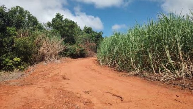 Foto - Área Rural 22 ha - Sítio Três Barras - Passos - MG - [4]