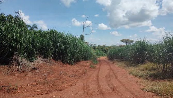 Foto - Imóvel Rural 241 ha - Fazenda São Benedito - Guaranésia/MG e Mococa/SP - [3]