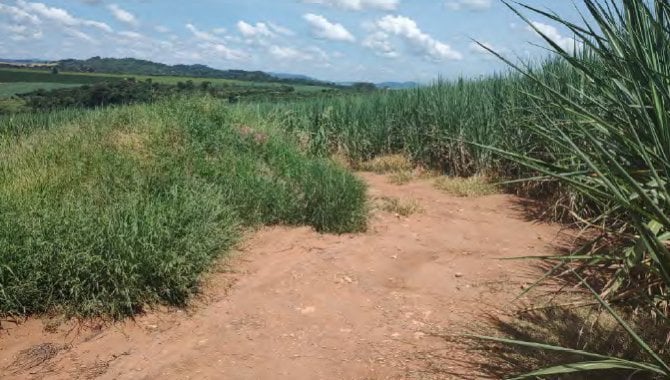 Foto - Imóvel Rural 241 ha - Fazenda São Benedito - Guaranésia/MG e Mococa/SP - [5]