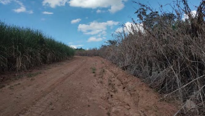 Foto - Imóvel Rural 22 ha - Sítio São Domingos - Passos - MG - [4]