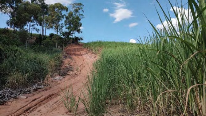 Foto - Imóvel Rural 22 ha - Sítio São Domingos - Passos - MG - [3]