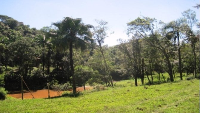 Foto - Terreno com Centro Recreativo 181.805 m² -  Embura - São Paulo - SP - [4]