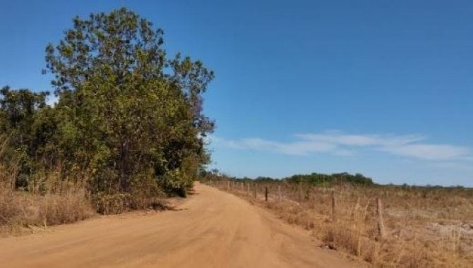 Foto - Imóvel Rural com 187 ha - Divinópolis do Tocantins - TO - [3]