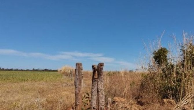 Foto - Imóvel Rural com 187 ha - Divinópolis do Tocantins - TO - [6]