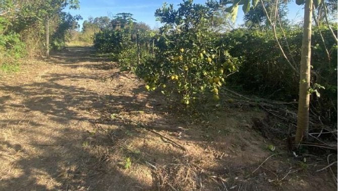 Foto - Imóvel Rural 21 alqueires pta. (Sítio Yanaguiwara) - Água da Onça - Duartina - SP - [15]