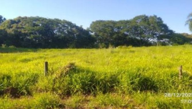 Foto - Área rural - Iretama-PR - Lote de terras, 57-C-Parte-1 - Colônia Muquilão - [1]