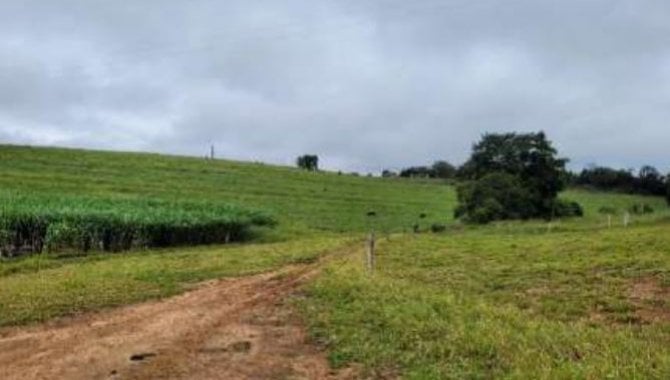 Foto - Área Rural com 30.250 m² - Rural Barbosas - Wenceslau Braz - PR - [1]