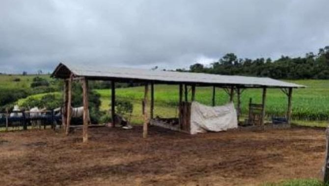 Foto - Área Rural com 30.250 m² - Rural Barbosas - Wenceslau Braz - PR - [9]