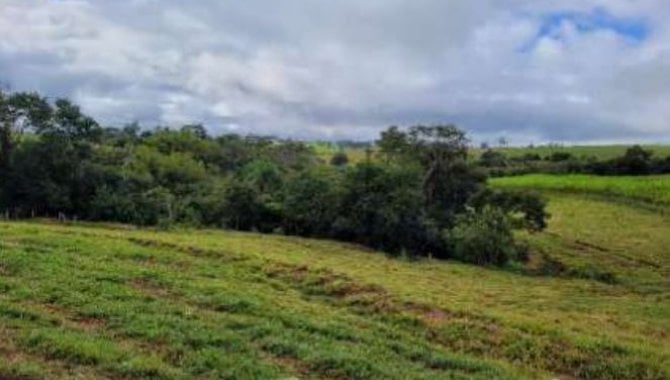 Foto - Área Rural com 30.250 m² - Rural Barbosas - Wenceslau Braz - PR - [4]