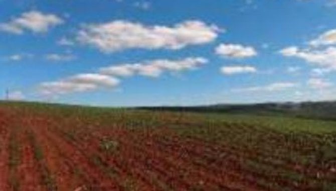 Foto - Área Rural com 35 ha (Sítio Nossa Senhora do Carmo) - Canoinhas - Arapoti - PR - [6]