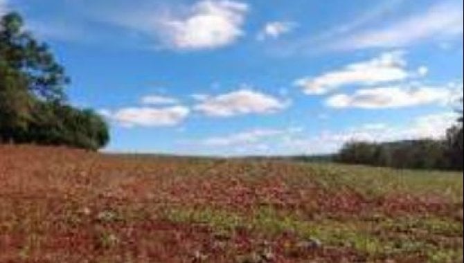 Foto - Área Rural com 35 ha (Sítio Nossa Senhora do Carmo) - Canoinhas - Arapoti - PR - [12]