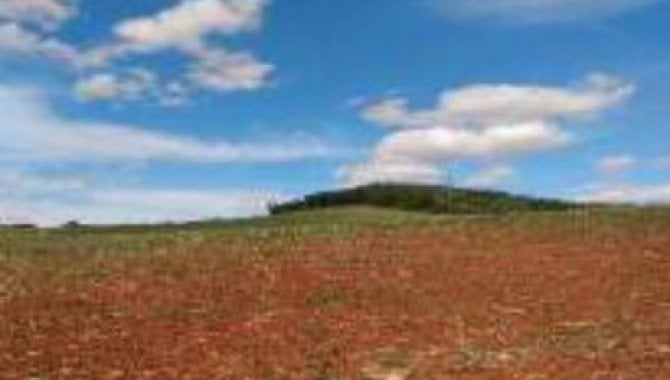 Foto - Área Rural com 35 ha (Sítio Nossa Senhora do Carmo) - Canoinhas - Arapoti - PR - [5]