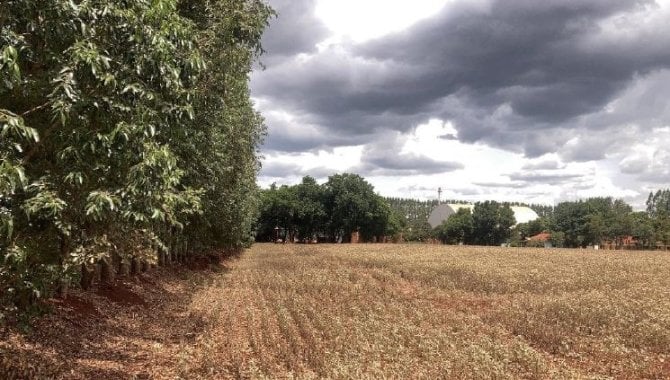 Foto - Imóvel Rural 21 ha (Fazenda São Carlos) - Água do Cateto - Cruzália - SP - [2]