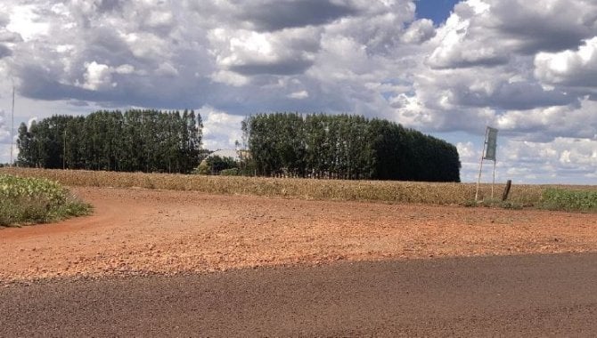 Foto - Imóvel Rural 21 ha (Fazenda São Carlos) - Água do Cateto - Cruzália - SP - [13]