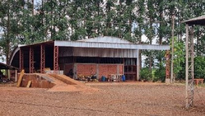 Foto - Imóvel Rural 21 ha (Fazenda São Carlos) - Água do Cateto - Cruzália - SP - [18]