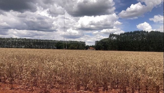 Foto - Imóvel Rural 21 ha (Fazenda São Carlos) - Água do Cateto - Cruzália - SP - [4]