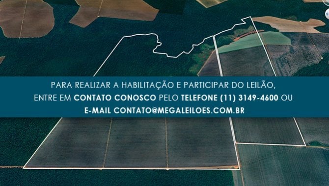 Foto - Imóvel Rural com 1.405 ha - Lote São Carlos - Santa Rita do Trivelato - MT - [1]