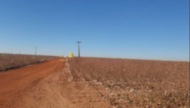 Foto - Imóvel Rural com 1.405 ha - Lote São Carlos - Santa Rita do Trivelato - MT - [3]