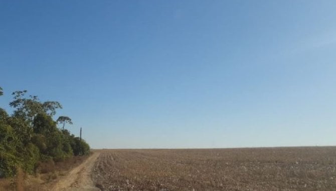 Foto - Imóvel Rural com 225 ha - Lote São Carlos - Santa Rita do Trivelato - MT - [6]