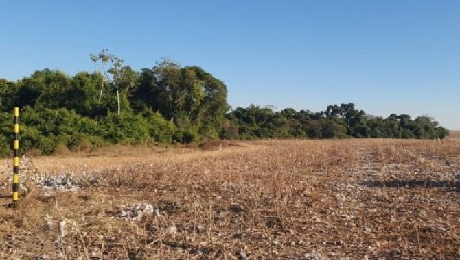 Foto - Imóvel Rural com 225 ha - Lote São Carlos - Santa Rita do Trivelato - MT - [7]