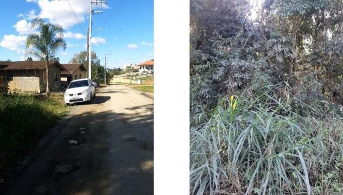 Foto - Área com 11.256 m² - Jardim das Hortênsias - Rio do Oeste - SC - [5]