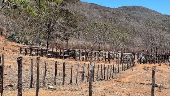 Foto - Imóvel Rural com 1.657 ha - Fazenda Bom Jardim e Queimadas - Jequié - BA - [6]