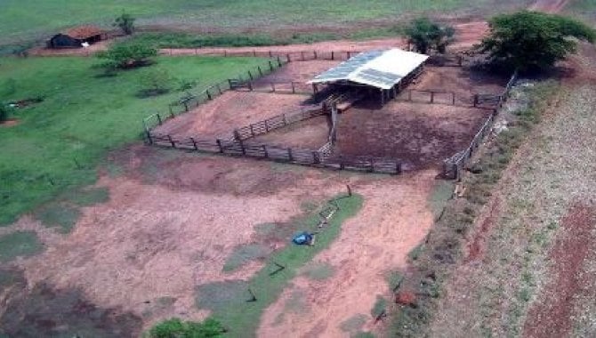 Foto - Imóvel Rural 608 ha - Fazenda Itio Kondo - Taquarussu - MS - [7]