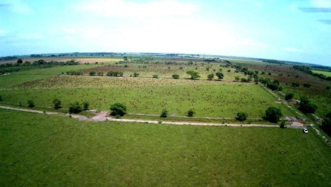 Foto - Imóvel Rural 608 ha - Fazenda Itio Kondo - Taquarussu - MS - [4]