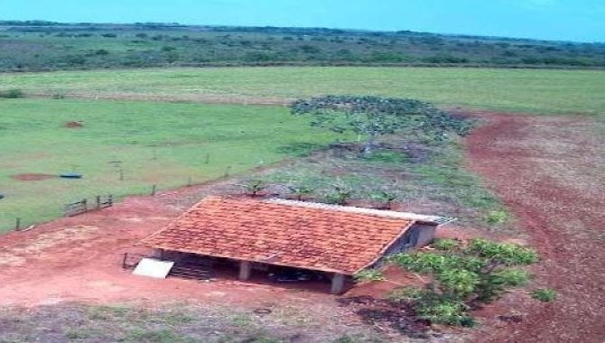 Foto - Imóvel Rural 608 ha - Fazenda Itio Kondo - Taquarussu - MS - [10]