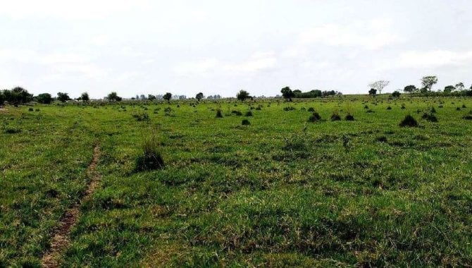 Foto - Imóvel Rural 608 ha - Fazenda Itio Kondo - Taquarussu - MS - [5]